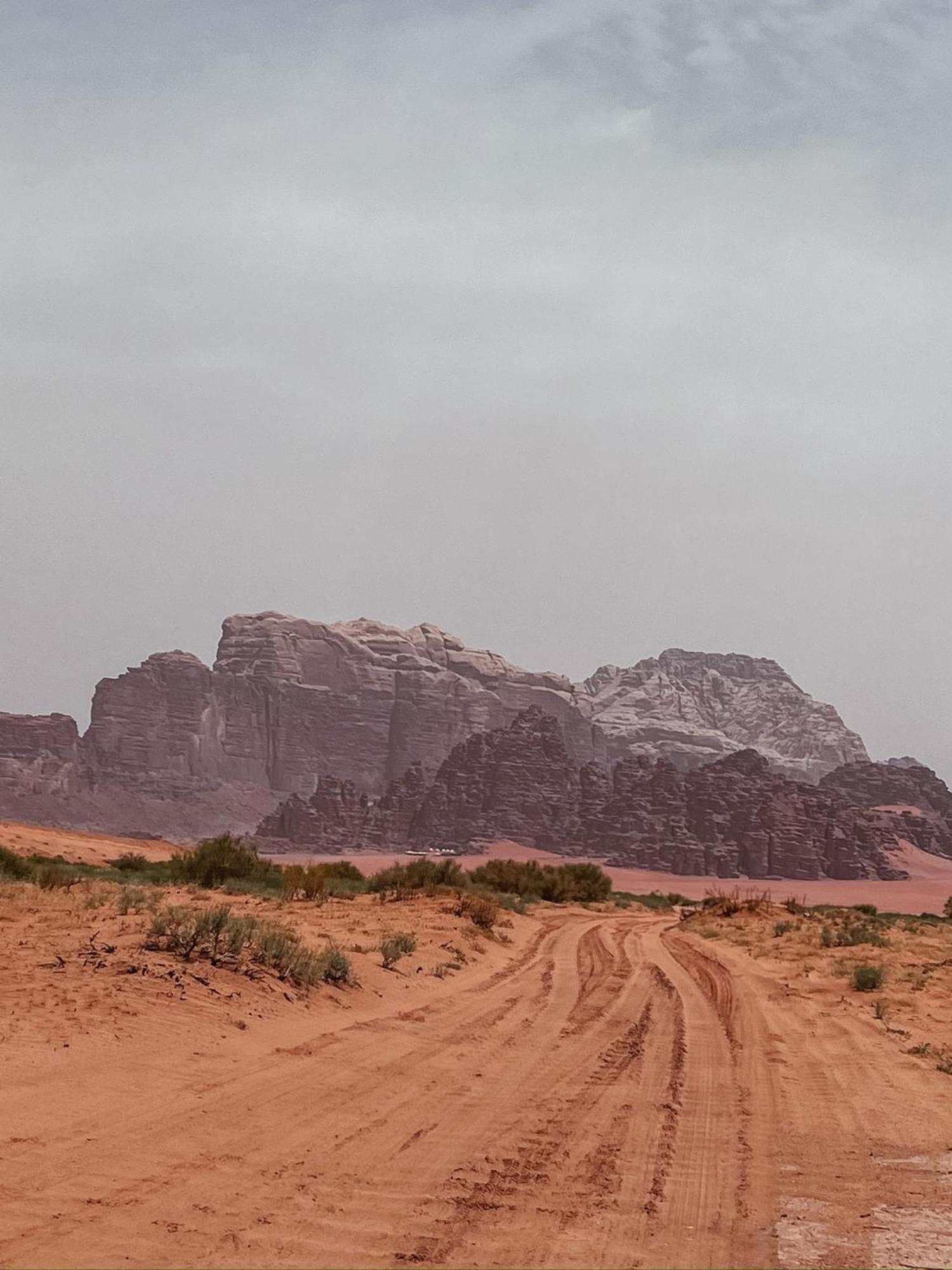 Desert Bird Camp Wadi Rum Exterior photo