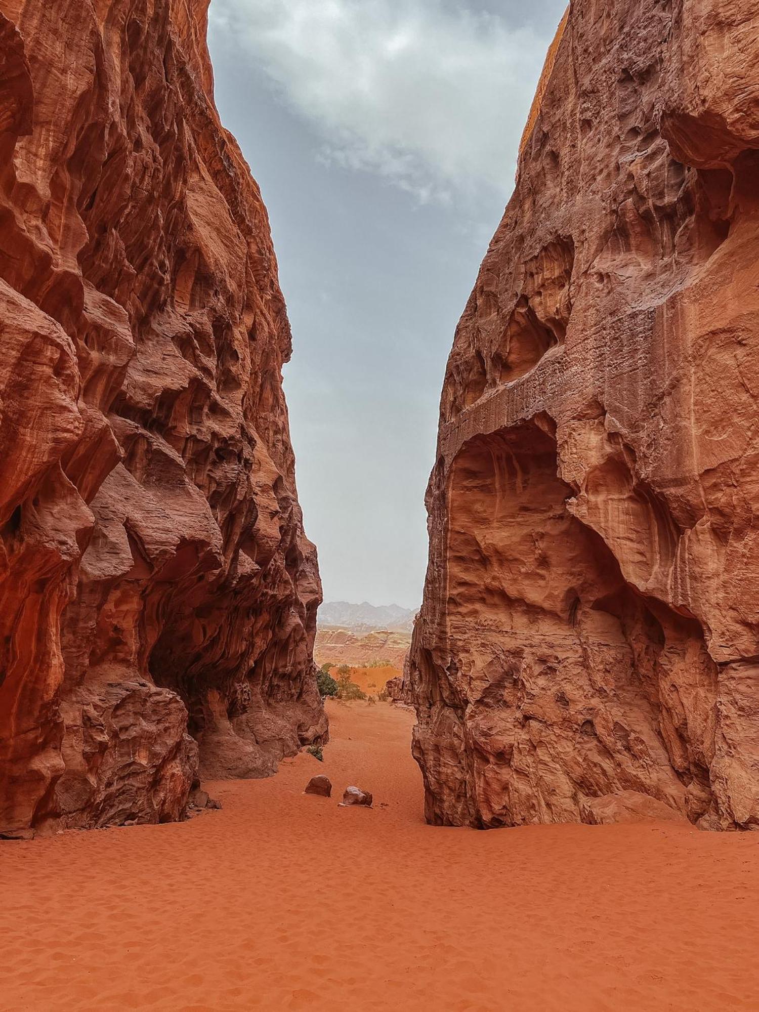 Desert Bird Camp Wadi Rum Exterior photo