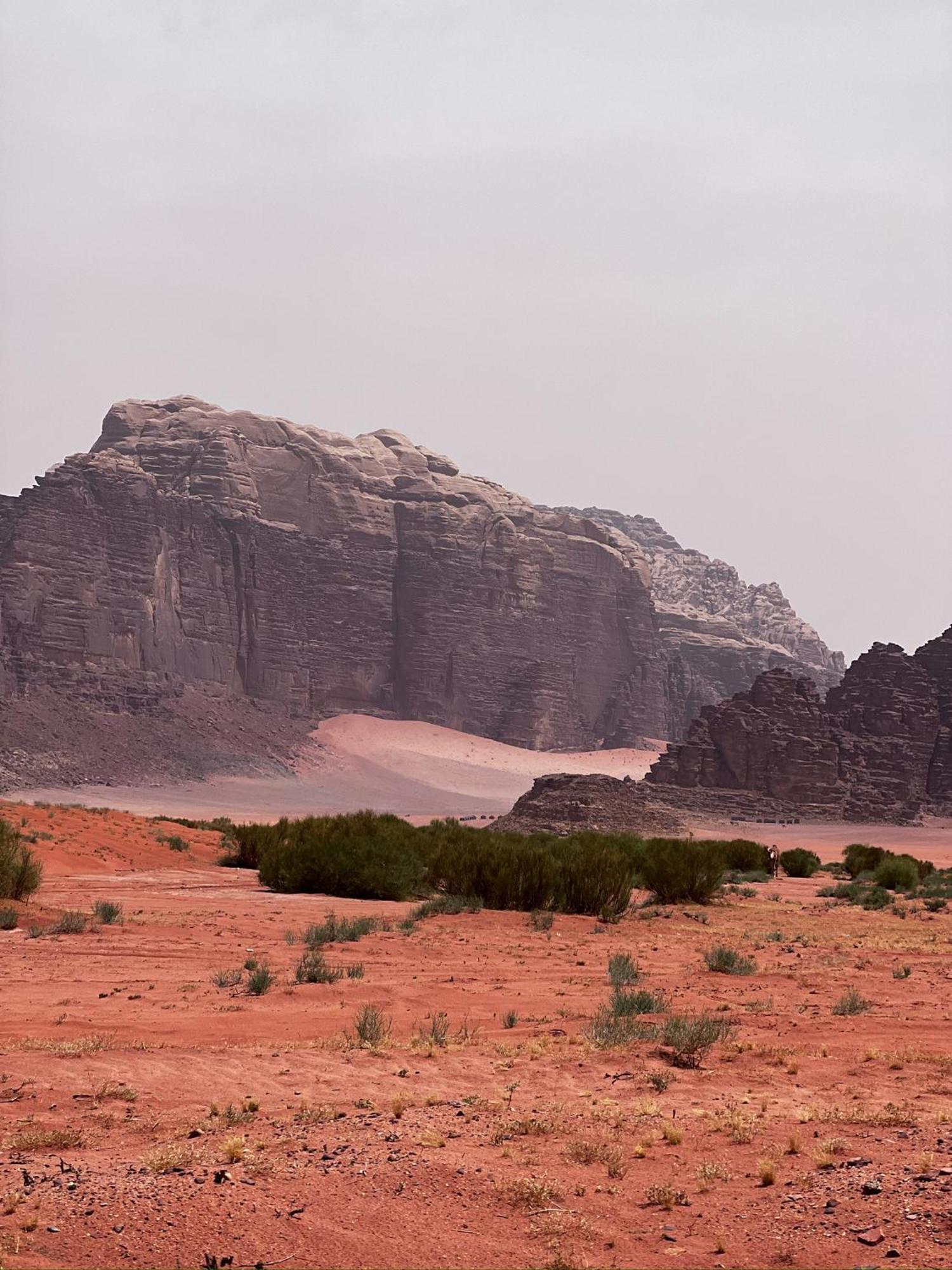 Desert Bird Camp Wadi Rum Exterior photo