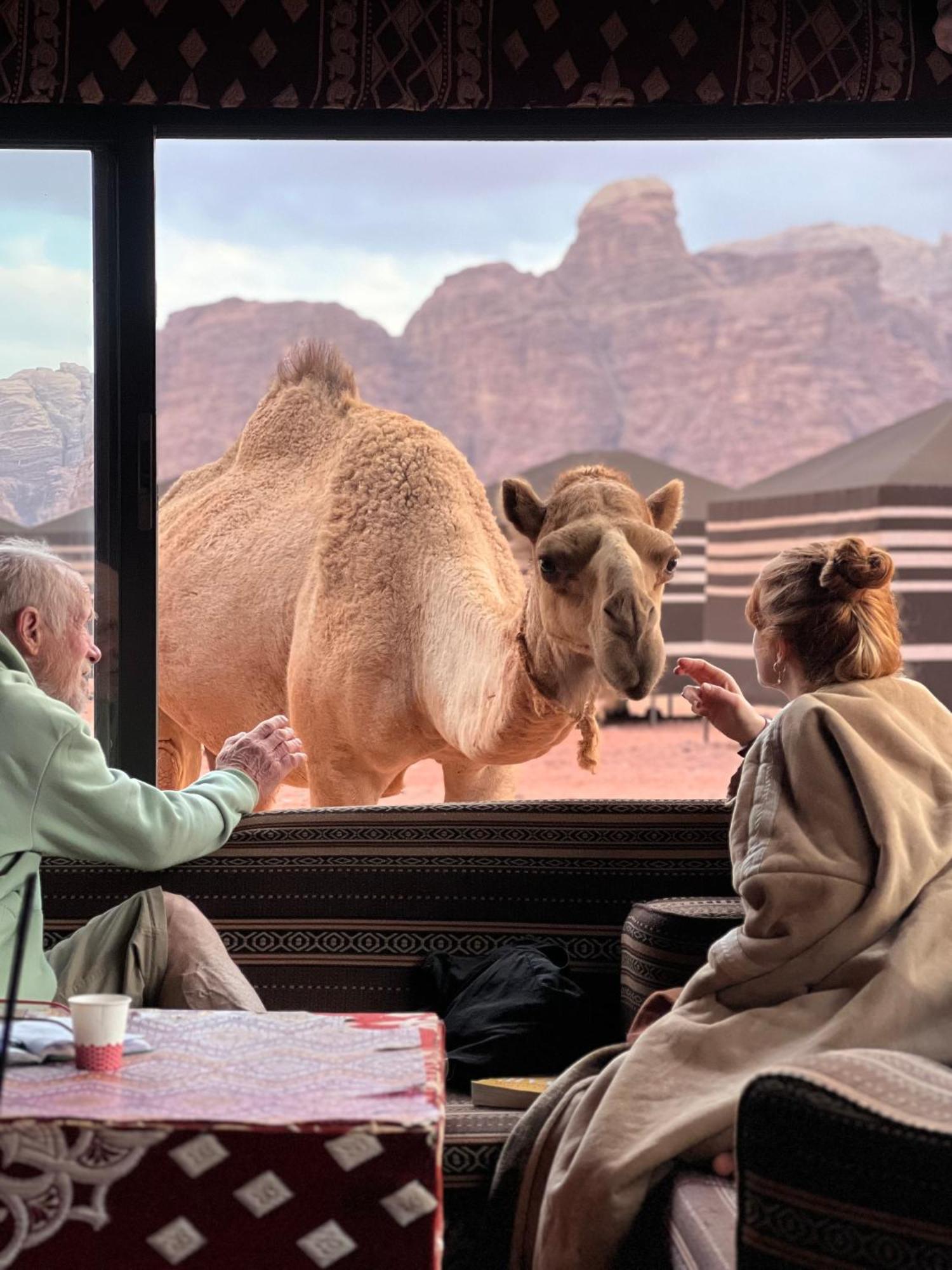 Desert Bird Camp Wadi Rum Exterior photo